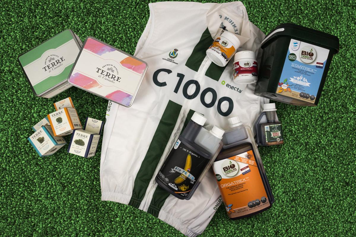 Cbd e sport