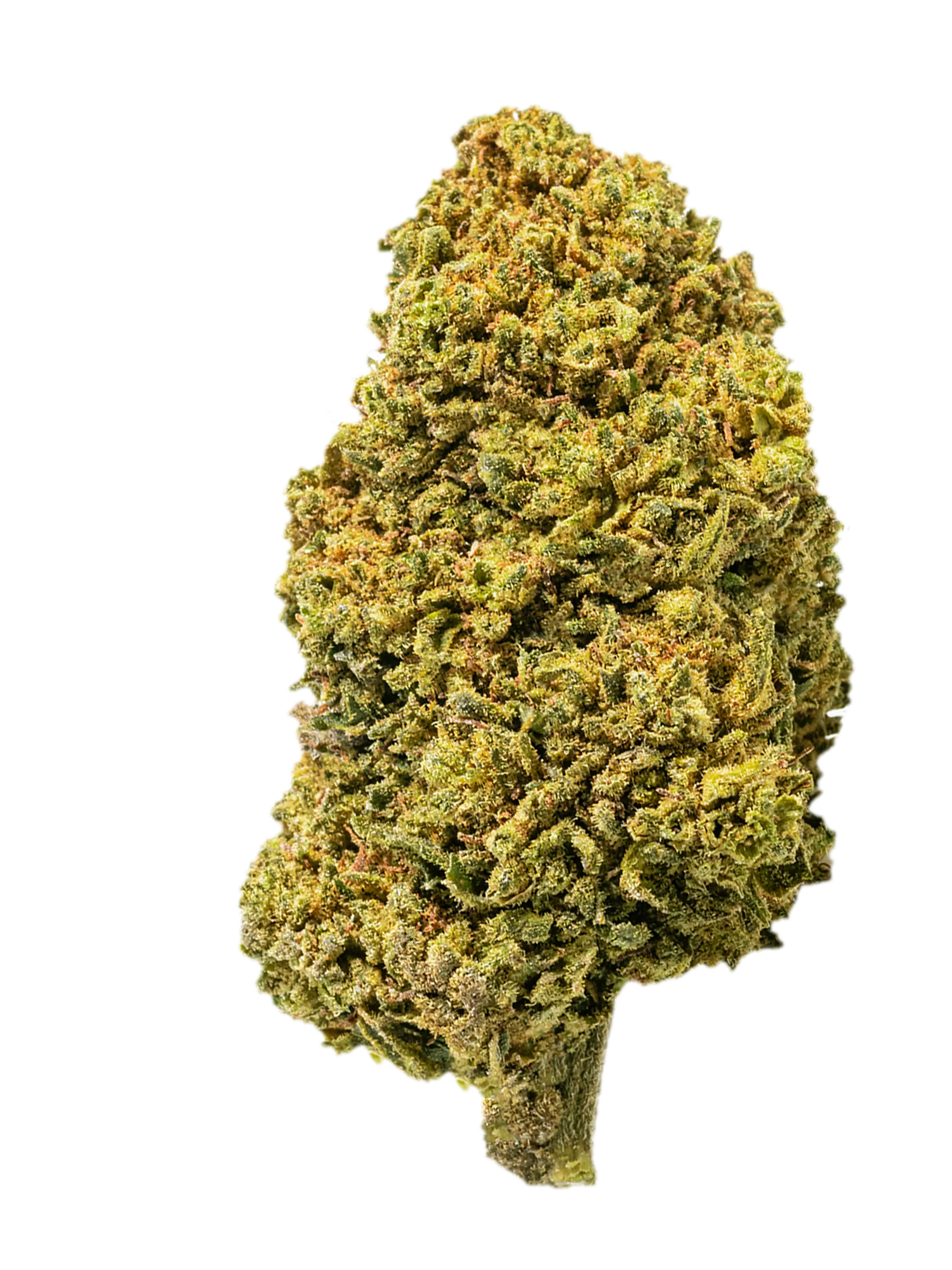 Sour Diesel | Fiori di CBD