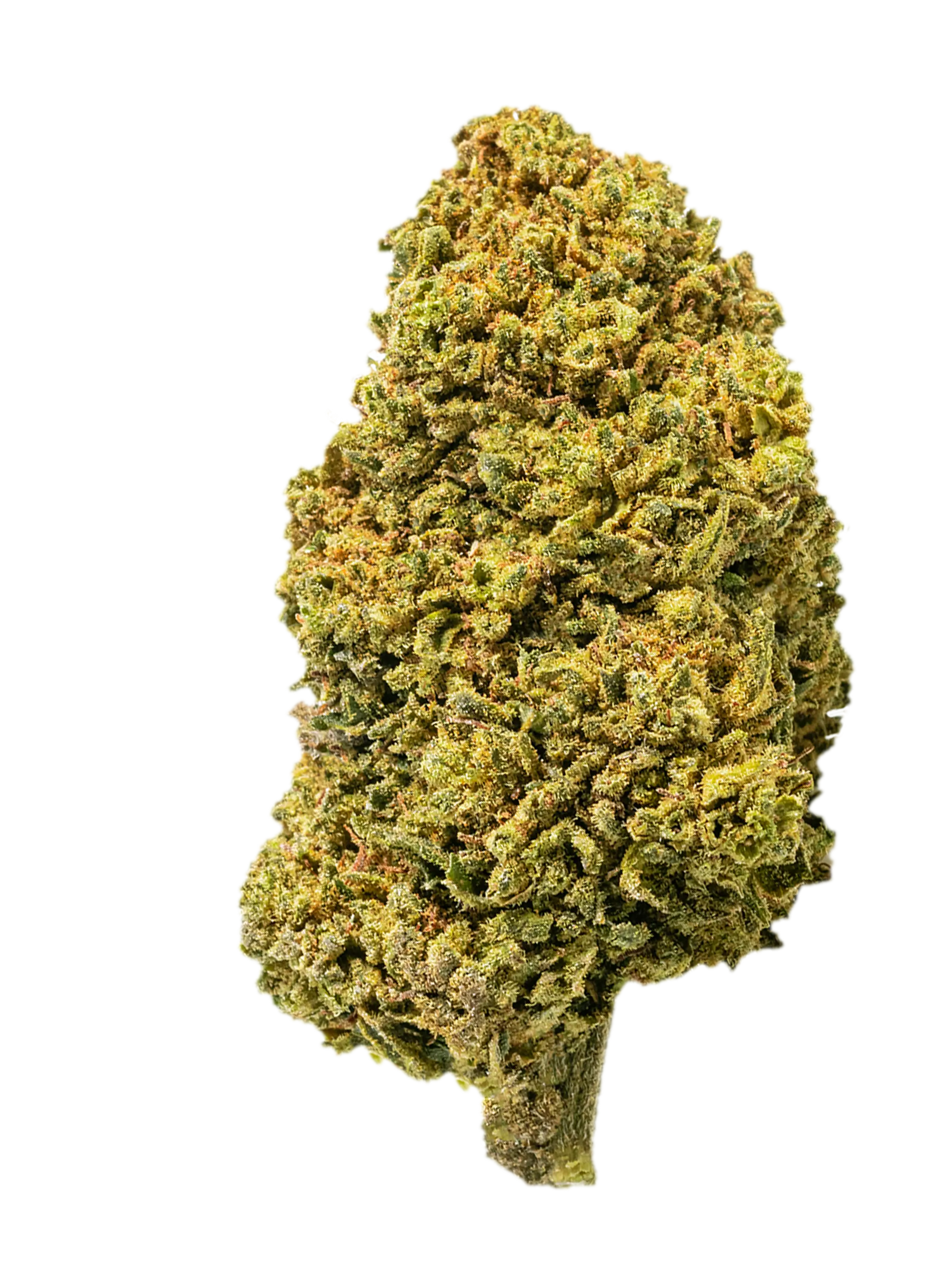 Sour Diesel | Fiori di CBD