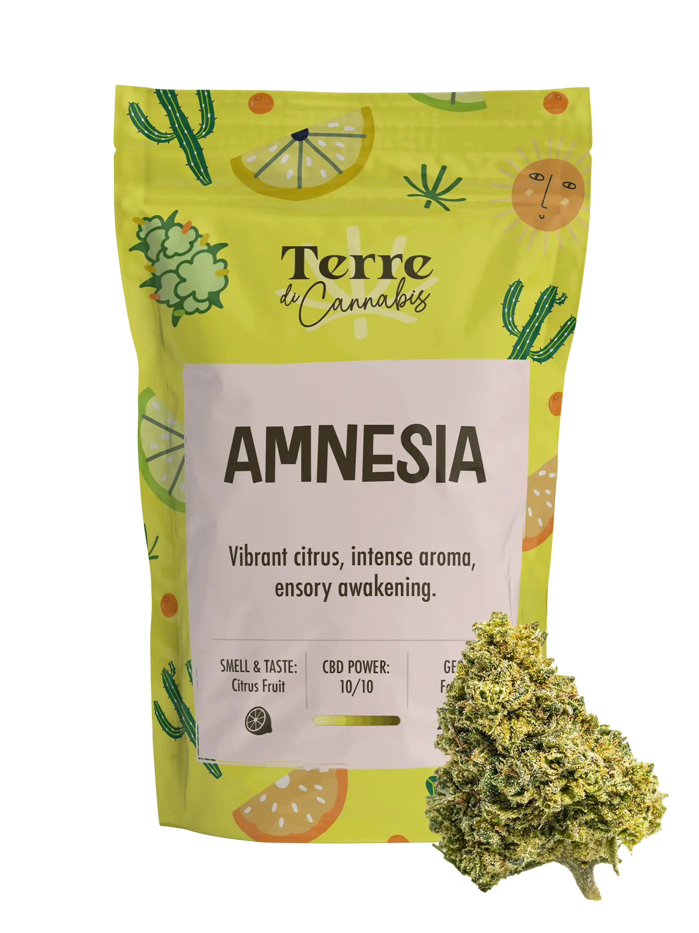 Amnesia | CBD Flowers