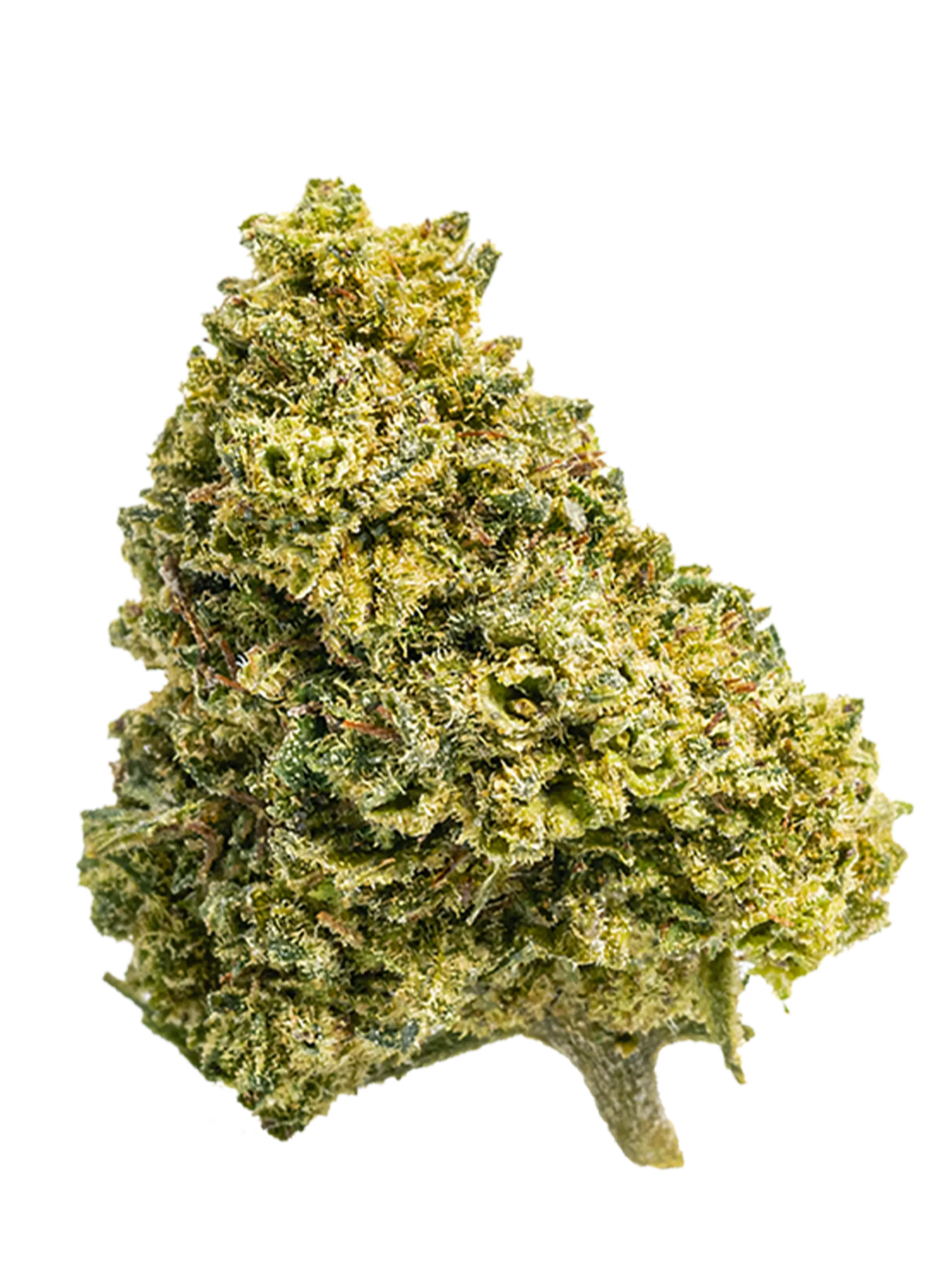 Amnesia | CBD Flowers