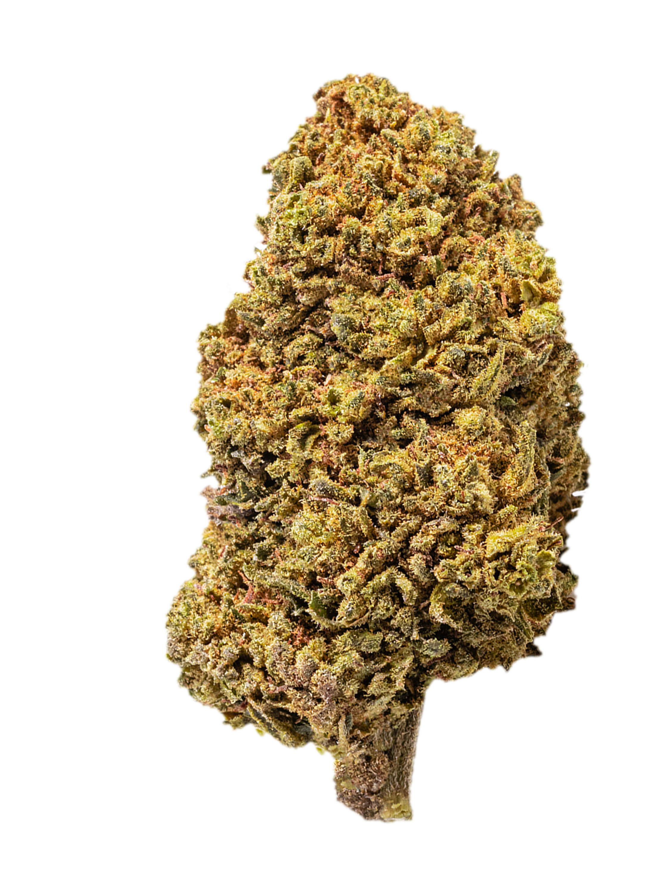 Edizione limitata | 60g