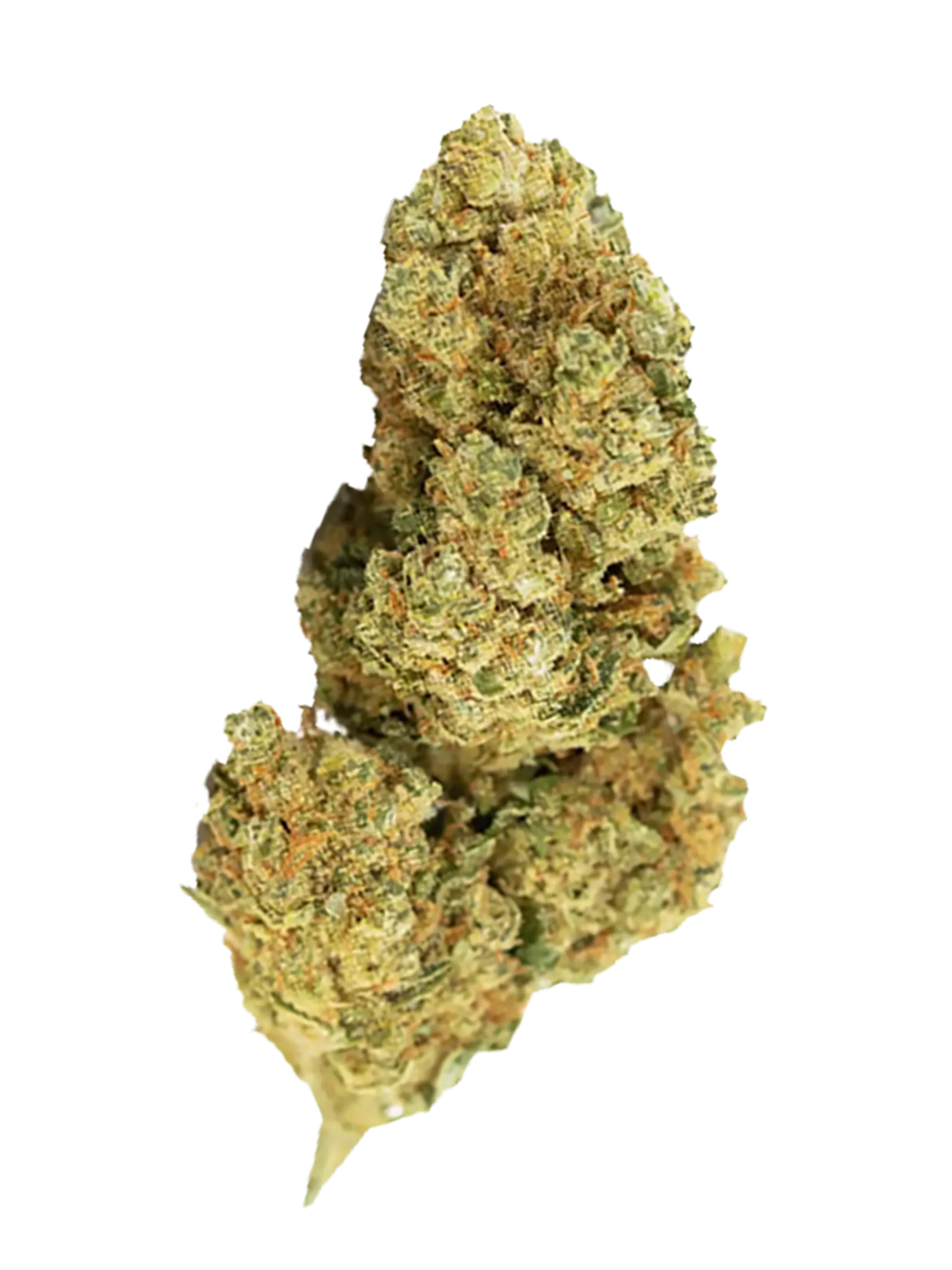 White Widow | Fiori di CBD