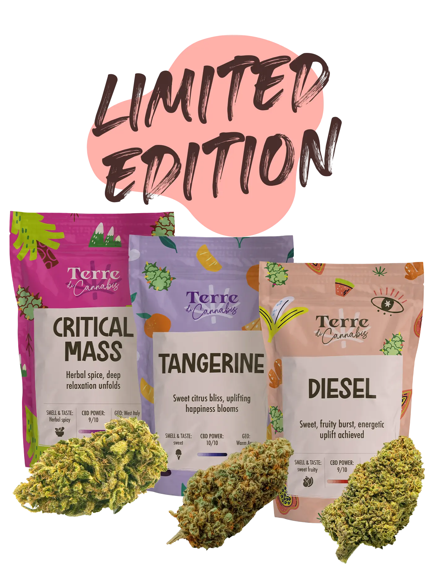 Edizione limitata | 60g