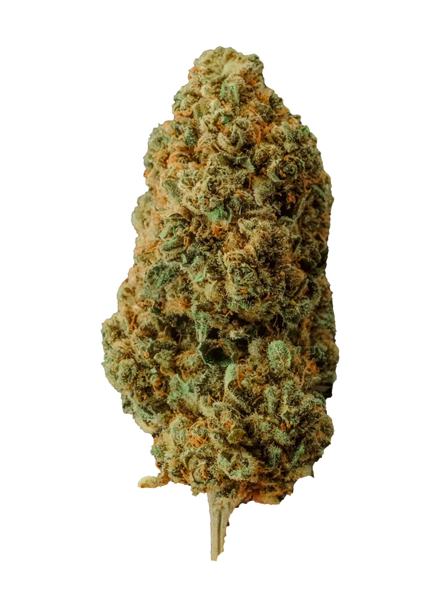 Tangerine | Fiori di CBD