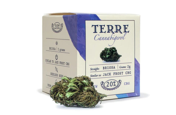 Briosa (Jack Frost) - fiori di CBG