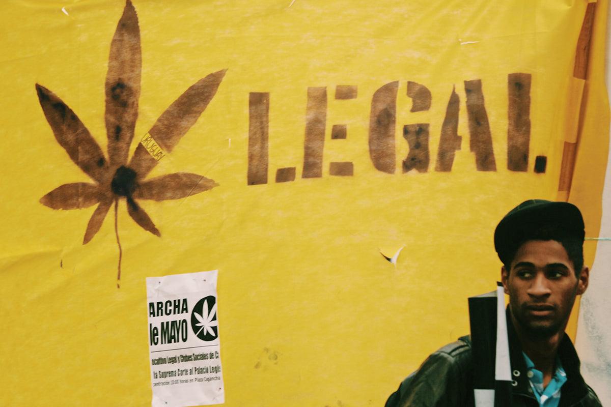 Italia legalizza la cannabis
