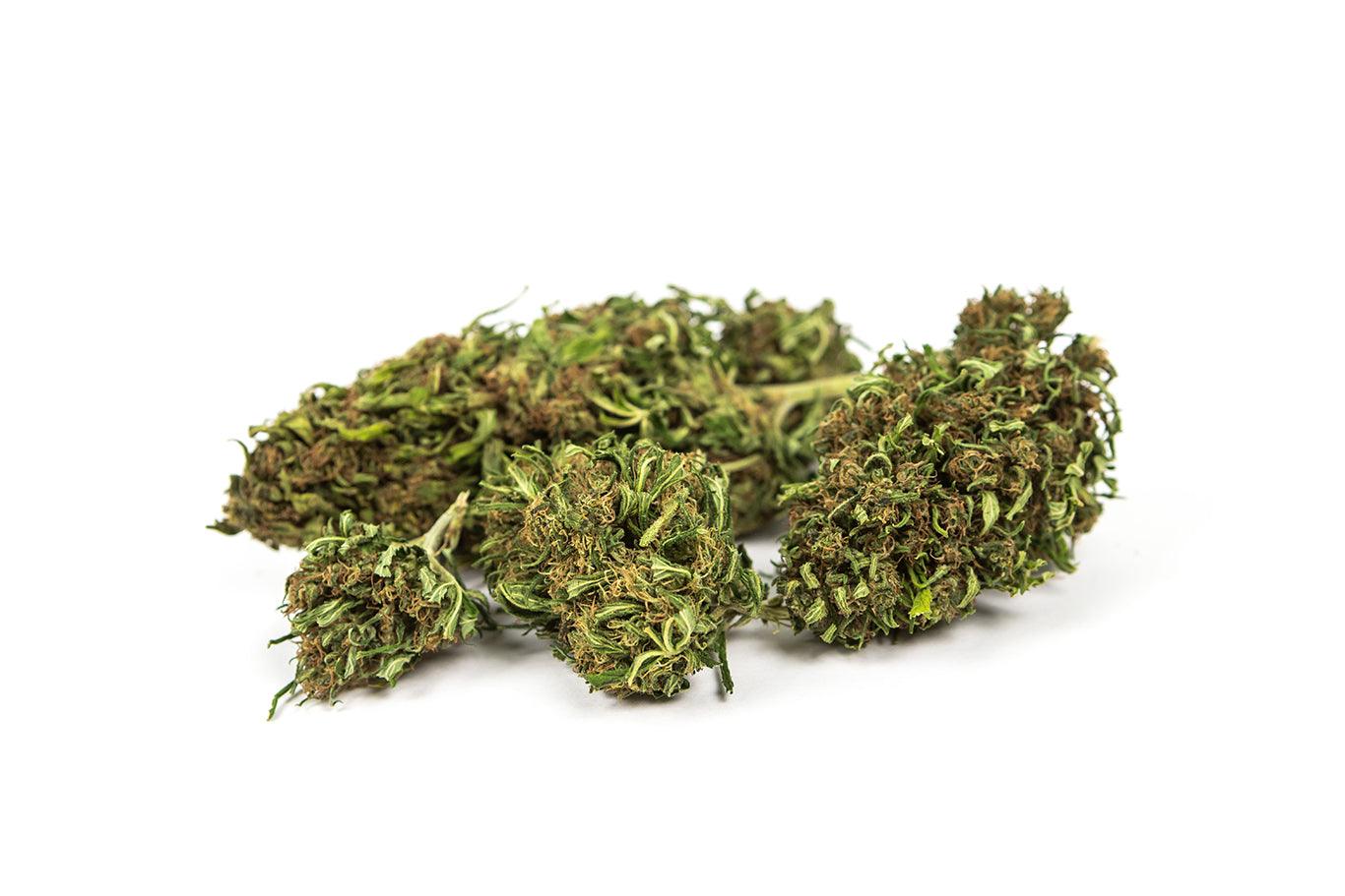 Diversi fiori di cannabis della varietà Amnesia