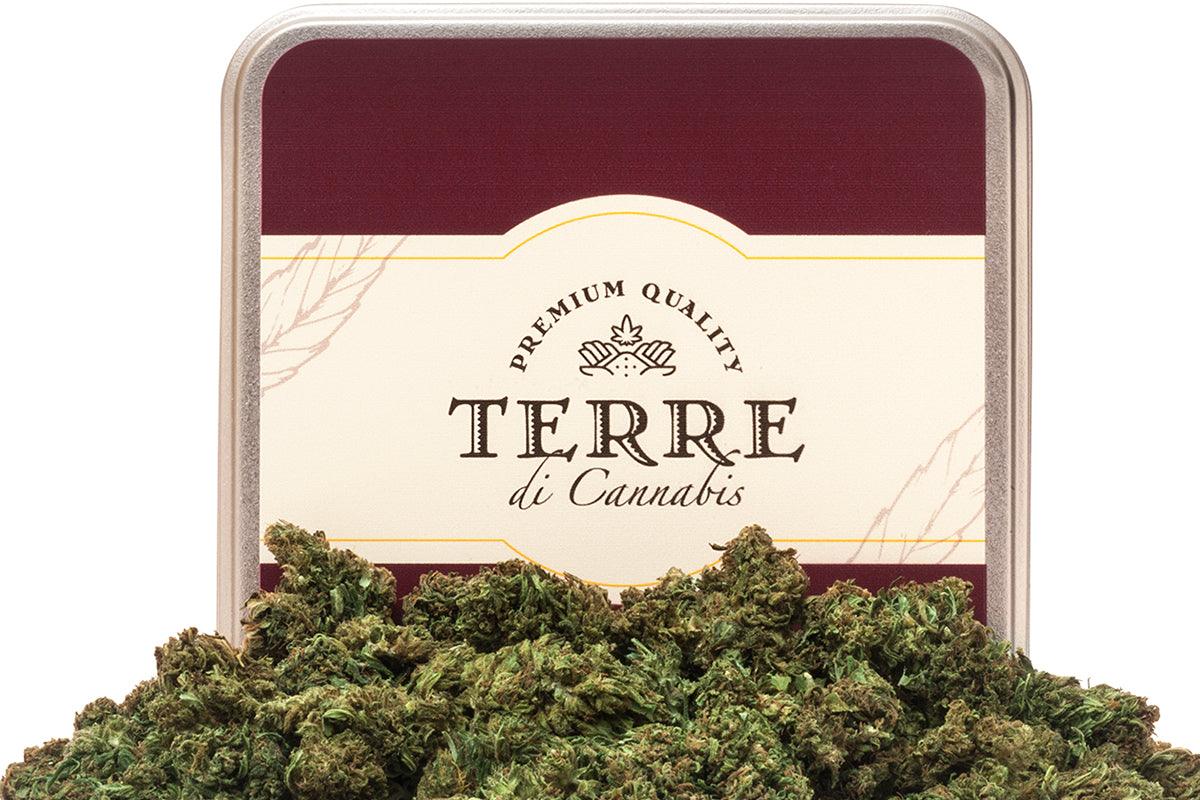 Vendere cannabis light in tabaccheria
