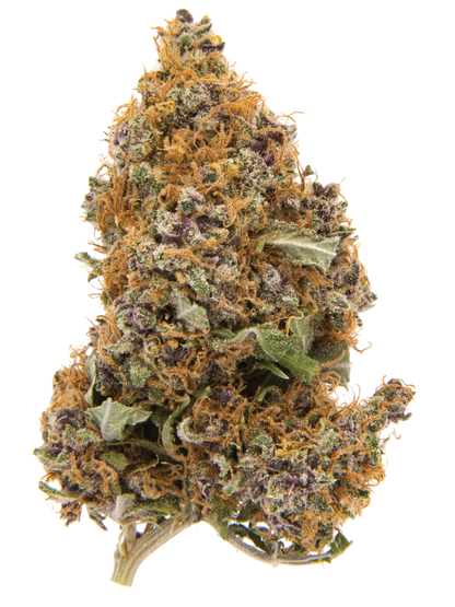 Purple Haze | CBD-Blüten