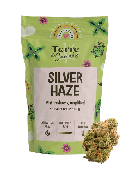 Silver Haze | fleurs de CBD
