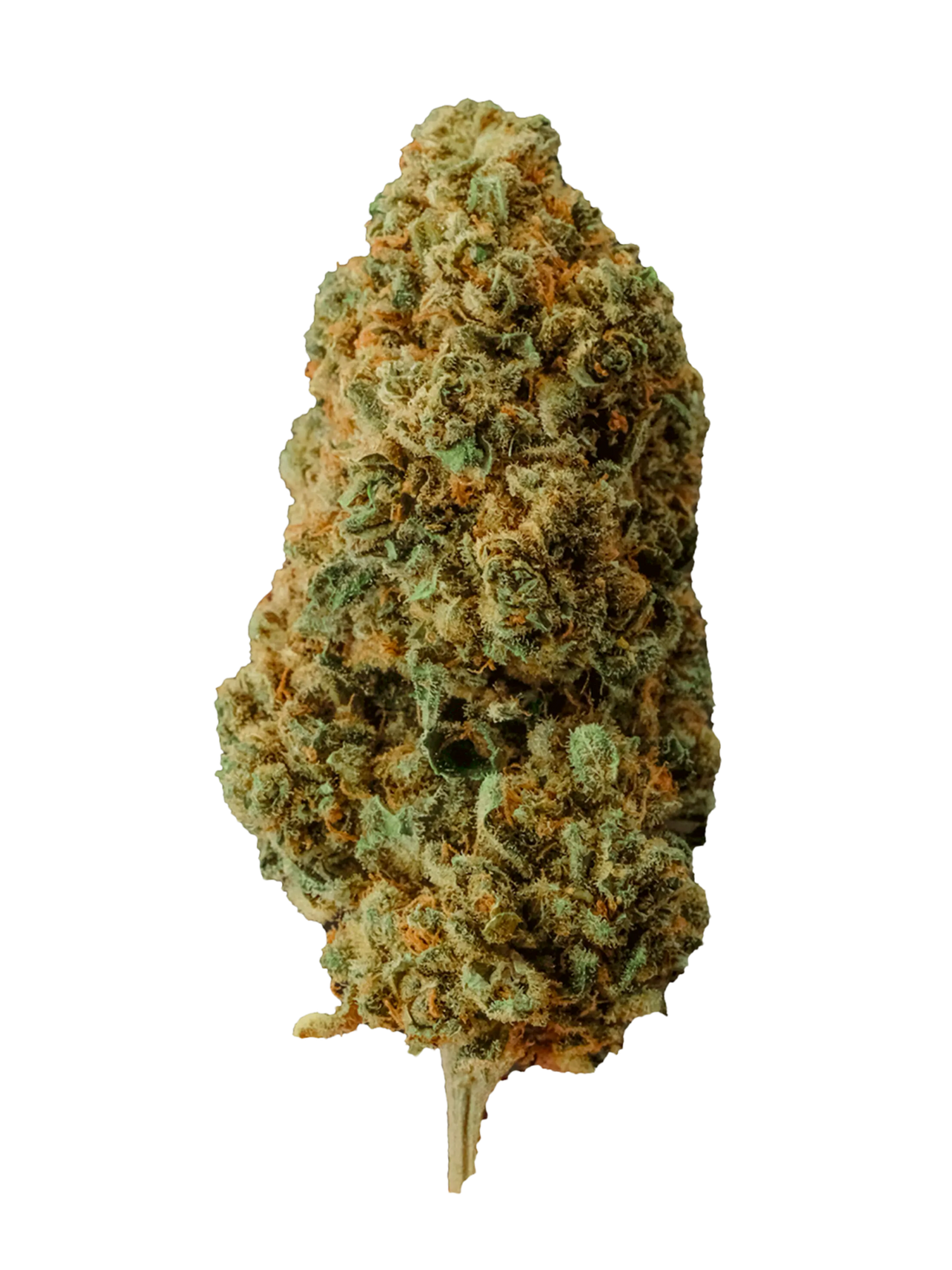 Tangerine | Fiori di CBD