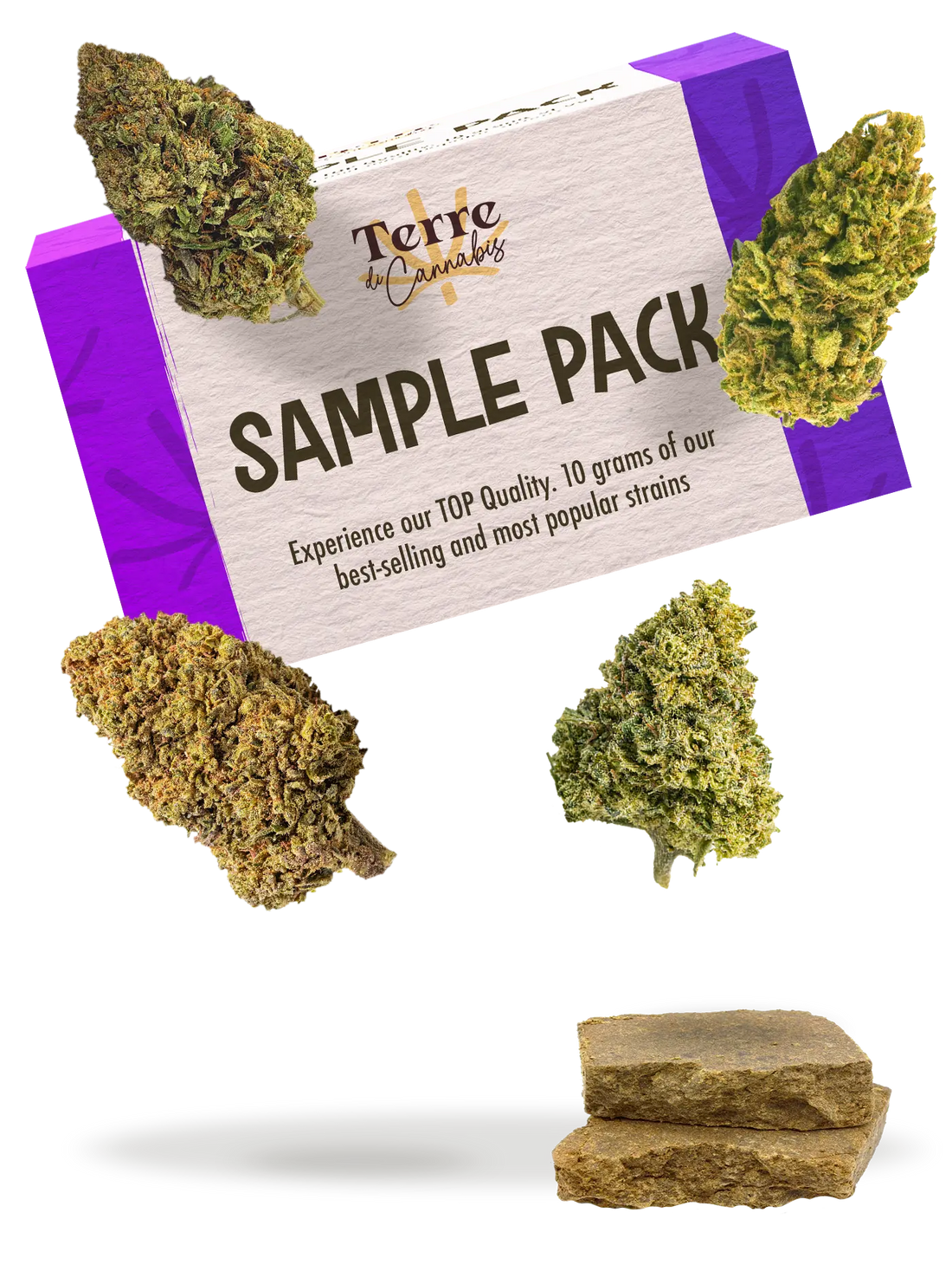 Terre SAMPLE PACK