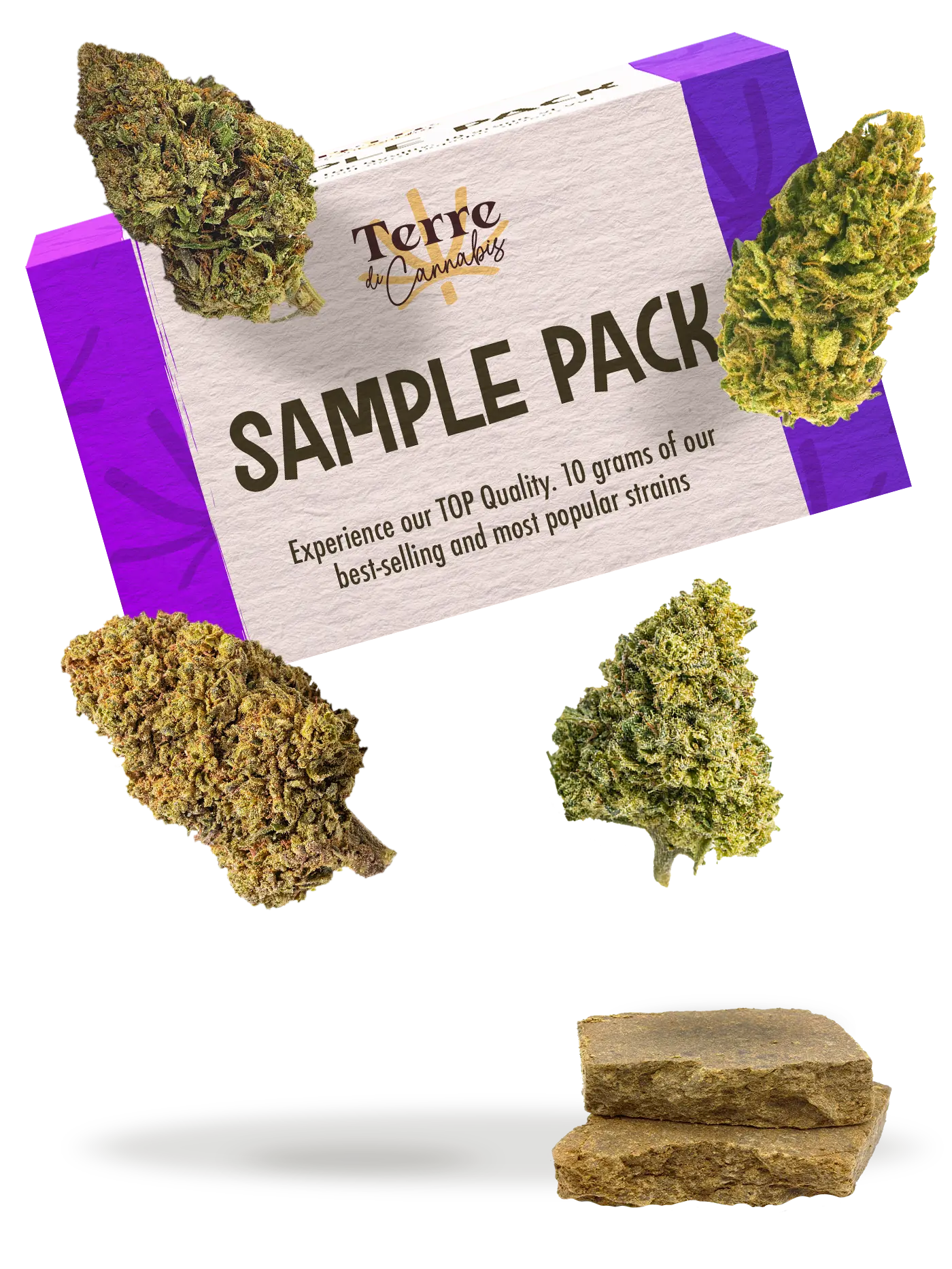 Terre SAMPLE PACK