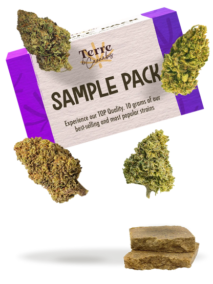 Terre SAMPLE PACK